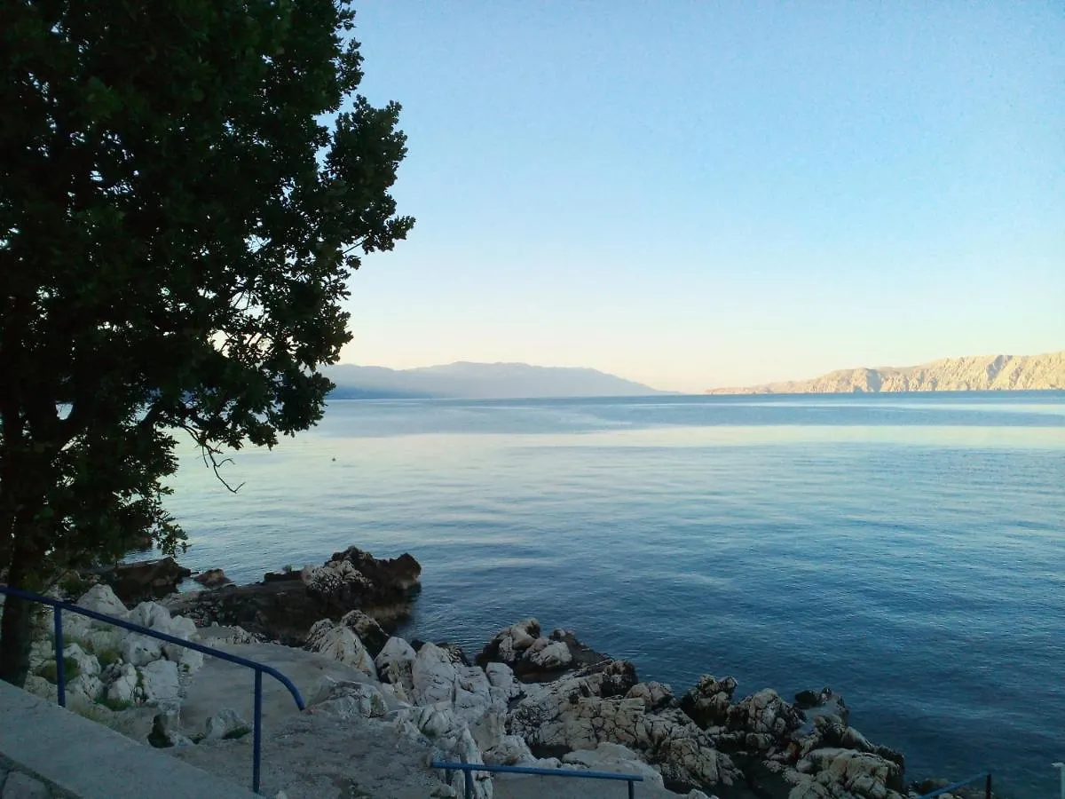 Vila Darinka Novi Vinodolski Holiday home