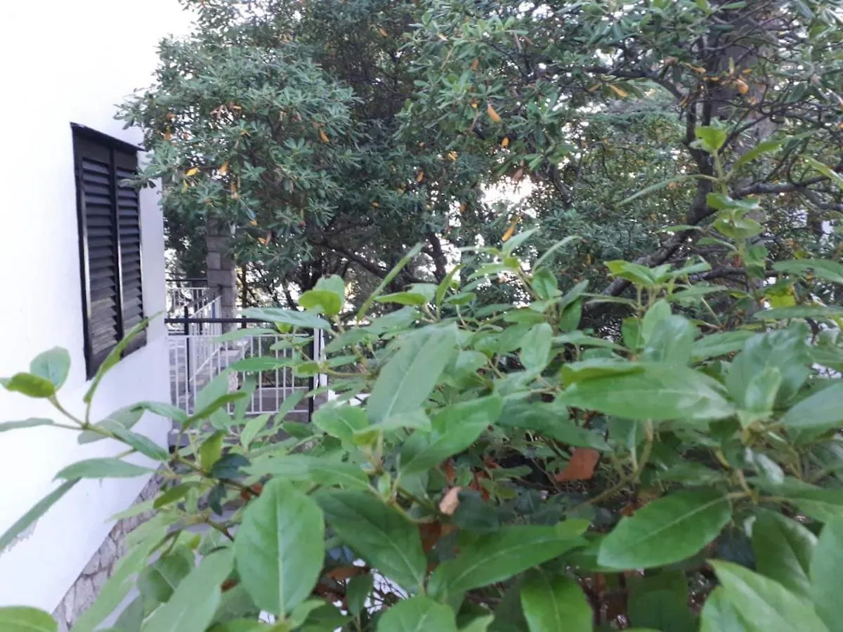 Vila Darinka Novi Vinodolski