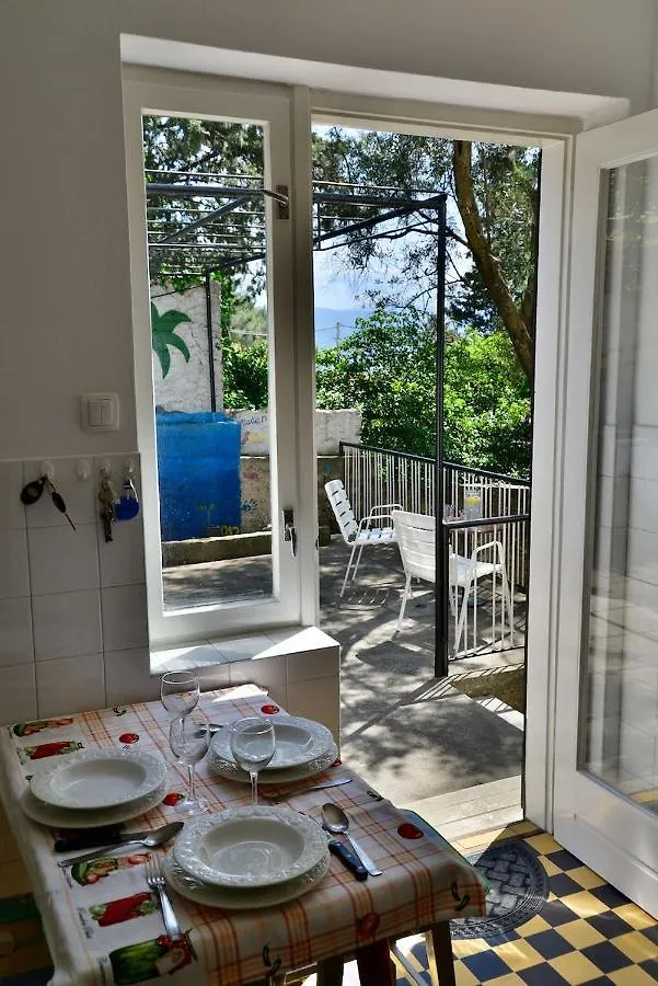 Holiday home Vila Darinka Novi Vinodolski